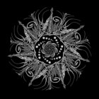 Torus Sound thumbnail