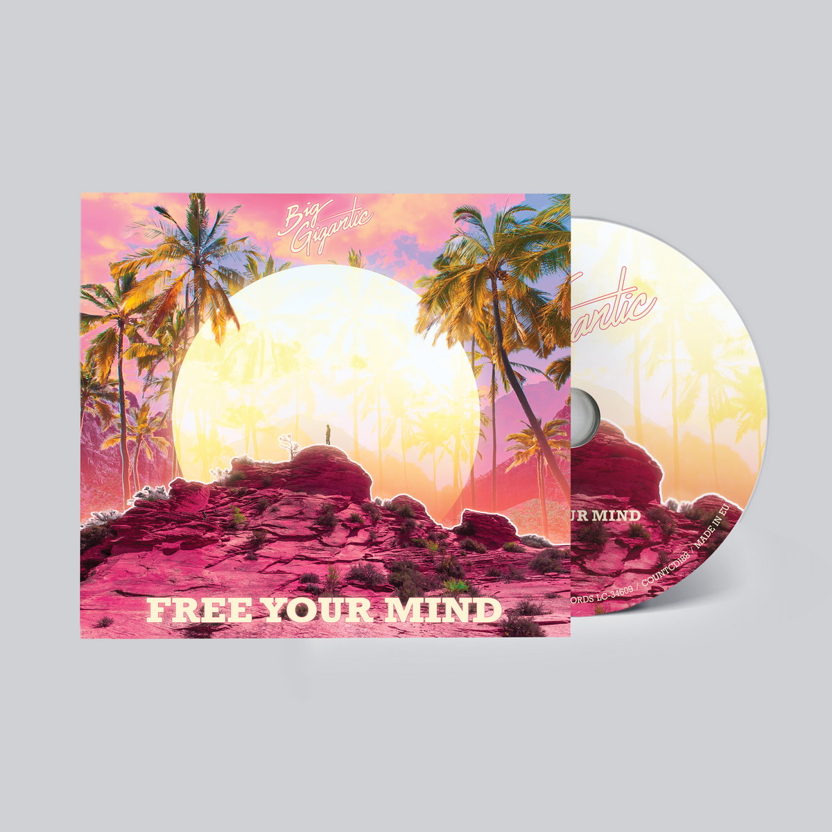 Free Your Mind | Big Gigantic