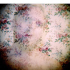 Timothy James Hemstreet thumbnail