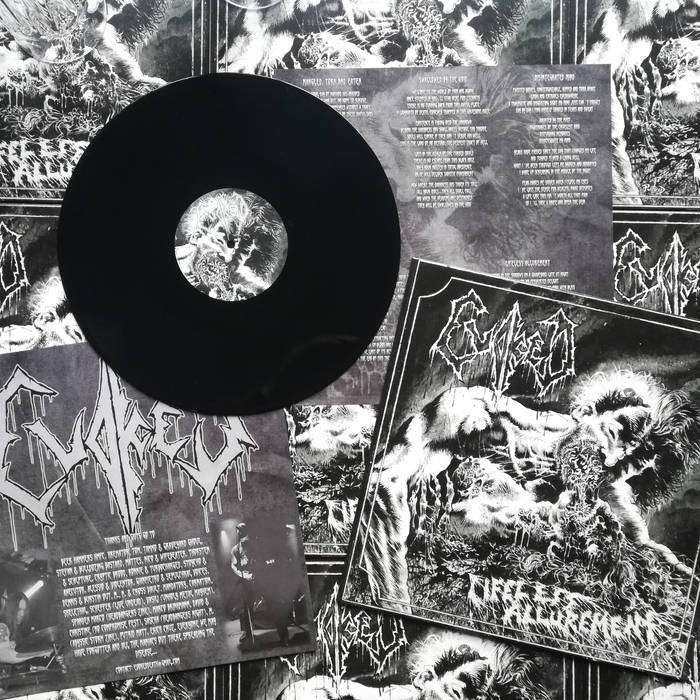 Lifeless Allurement (EP) – 12" Black Vinyl
