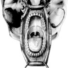 Before Nostromo | Stephan Mathieu | Schwebung