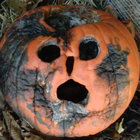 kwhtstt thumbnail