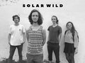 Solar Wild image