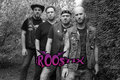 The Roostix image
