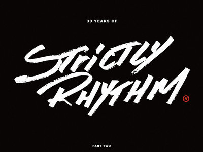 VA - 30 Years Of Strictly Rhythm - Part Two main photo
