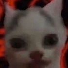 chrisbungle thumbnail