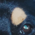 legof thumbnail