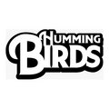 Humming Birds image