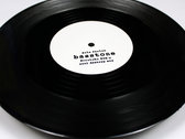 Basstone (Scratcha DVA's Soul Destroy Remix) / Singlewhitefemale - Dub & Secret Garden SWF001 10" Vinyl photo 