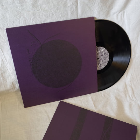 邦楽 Flowlight Sky Set SKY / Sky 2 (帯付 K20P-21/22) 2LP – TICRO MARKET