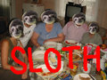 スロース sloth image