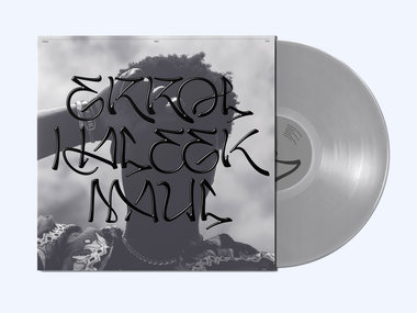 Silver Vinyl LP main photo