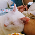 lifeispeachyy thumbnail