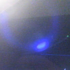 Octavia Togami thumbnail