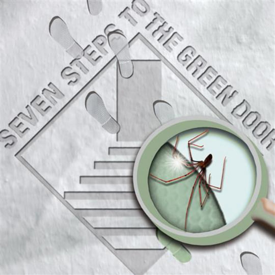 Step In 2 My World | Seven Step To The Green Door | Marek Arnold
