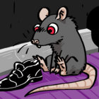 Shoegaze Rat thumbnail