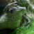 bass_frog thumbnail