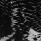 Saulf thumbnail