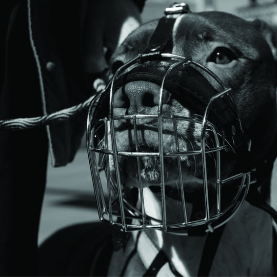 The Circle | Eto x Wally Clark | Wally Clark