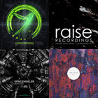 Intention Craft | Evan Marc + Steve Hillage | Bluetech