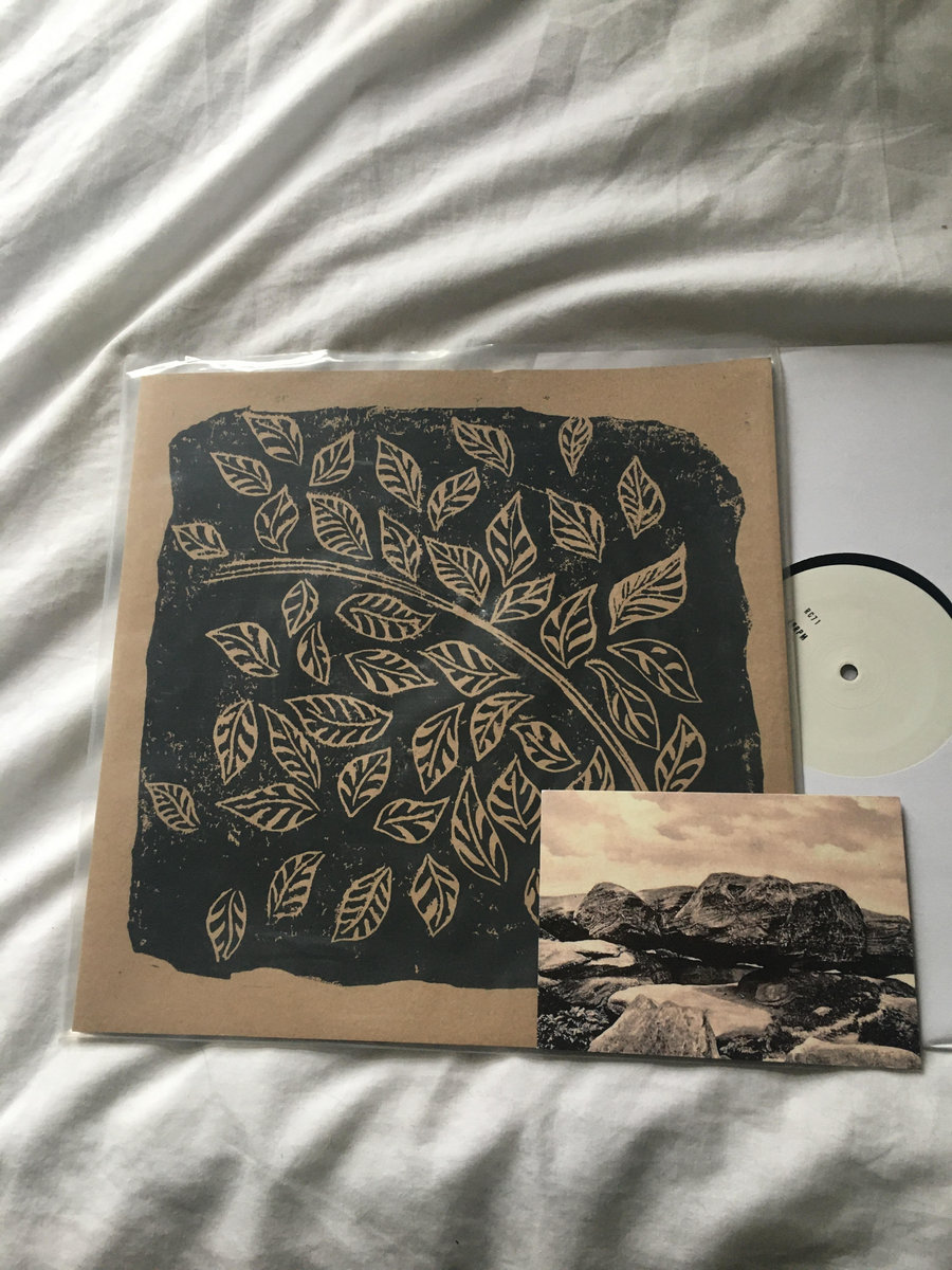 The Leaves In The Lane | The Declining Winter