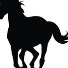 moodyhorse thumbnail