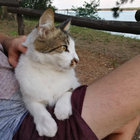 kordsi thumbnail