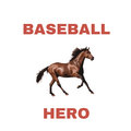 Baseball Hero image