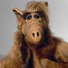 gordon_shumway thumbnail