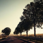 dripin thumbnail