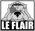Le Flair image