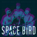Space Bird image