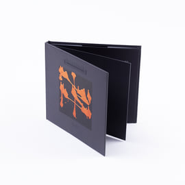 Limited Edition Digibook CD with Lyric Booklet, image 1