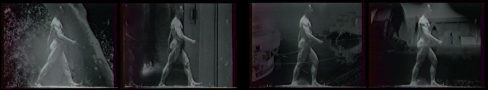 Hint — Photo