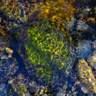 Vincent Faugère thumbnail