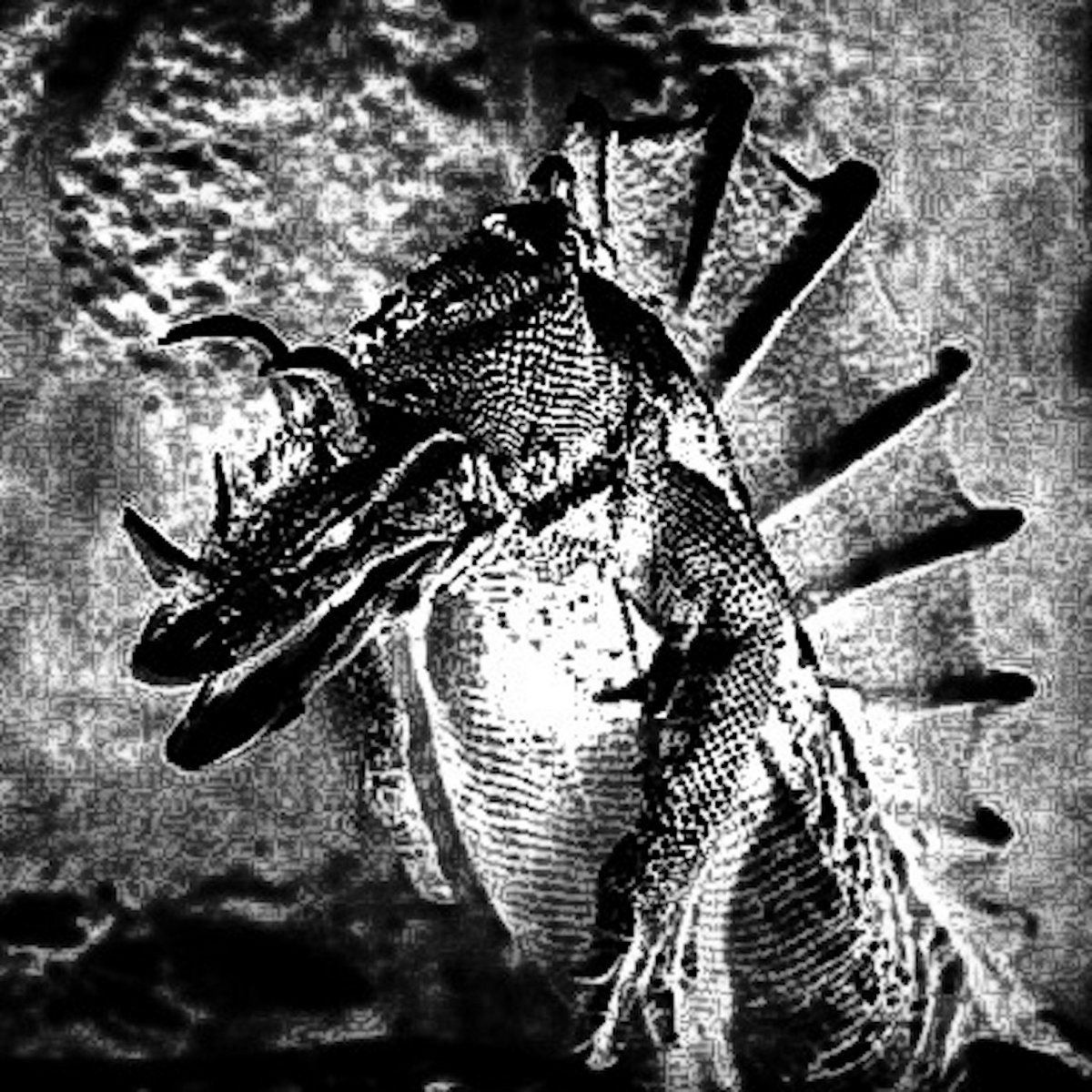 The Age Of Reptiles | Archosaur
