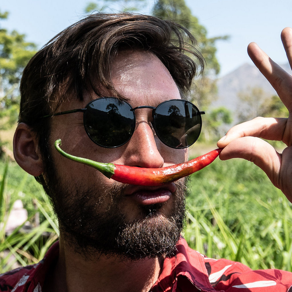 ginger_chili_lime's collection Bandcamp