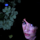 Flowers At Night thumbnail