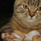 drabarni thumbnail