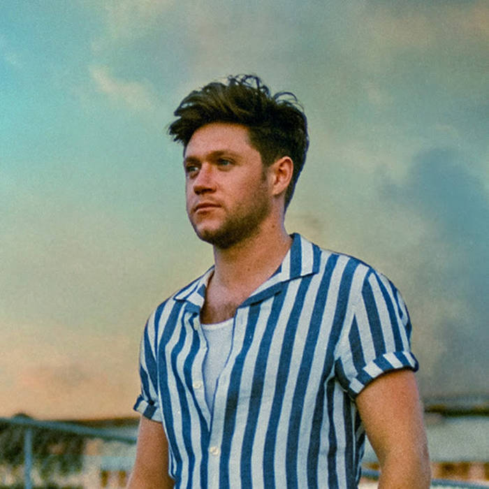 Niall Horan - Everywhere (Lyrics) 