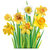 daffodils thumbnail