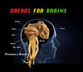 Dreads For Brains image