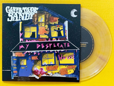 My Desperate House 7" Vinyl main photo