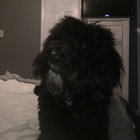 PJ thumbnail