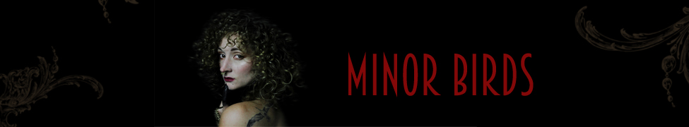 Minor Birds — Photo
