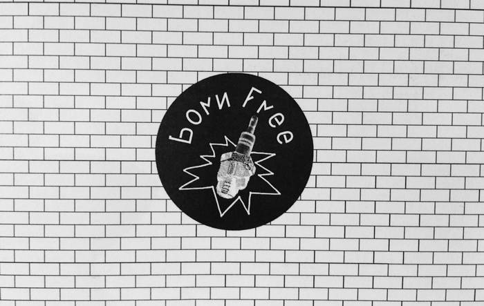 Music | BORN FREE RECORDS