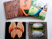 All Three Buick Audra Albums on CD: Family Album / Singer / Rose Ink photo 