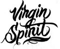 Virgin Spirit image