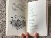 Illustrated book of lyrics and texts photo 
