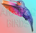 Analog Birds image